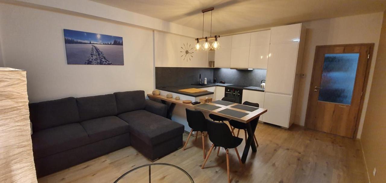 Apartman Nerudovka D 104, Finska Sauna, Garazove Stani Loucna pod Klinovcem Exterior photo