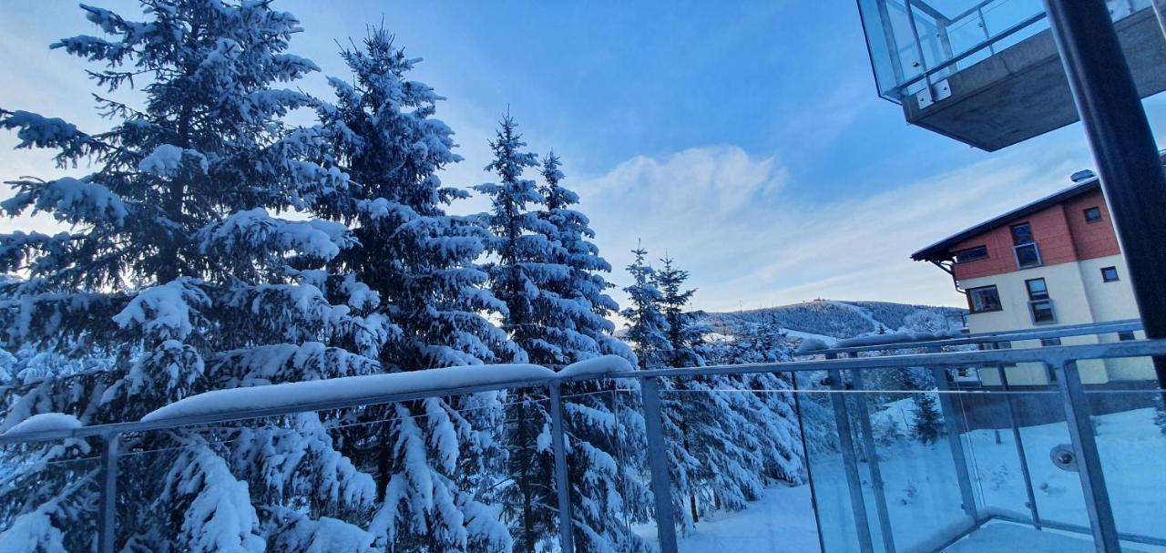 Apartman Nerudovka D 104, Finska Sauna, Garazove Stani Loucna pod Klinovcem Exterior photo
