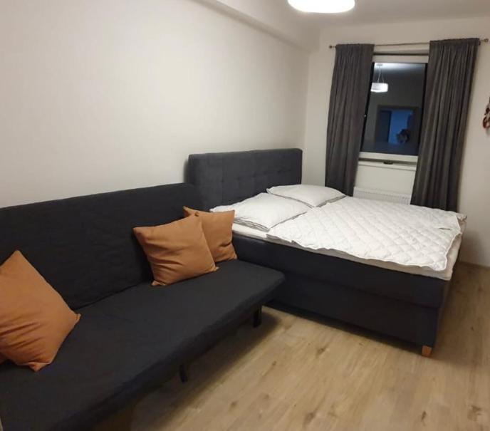 Apartman Nerudovka D 104, Finska Sauna, Garazove Stani Loucna pod Klinovcem Exterior photo